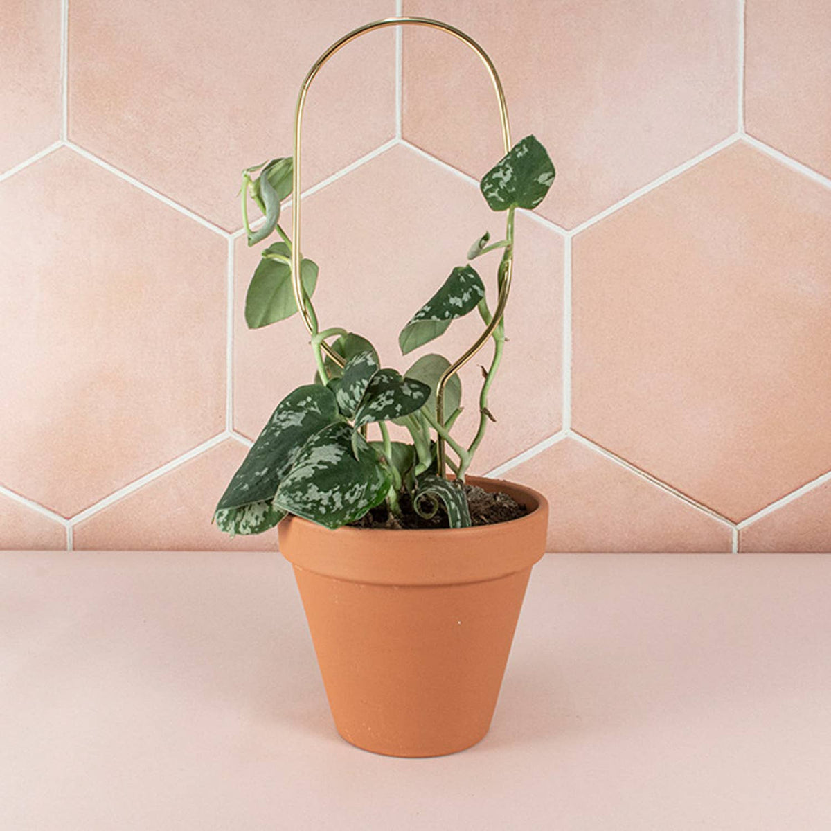 Mini Plant Stake - Gold