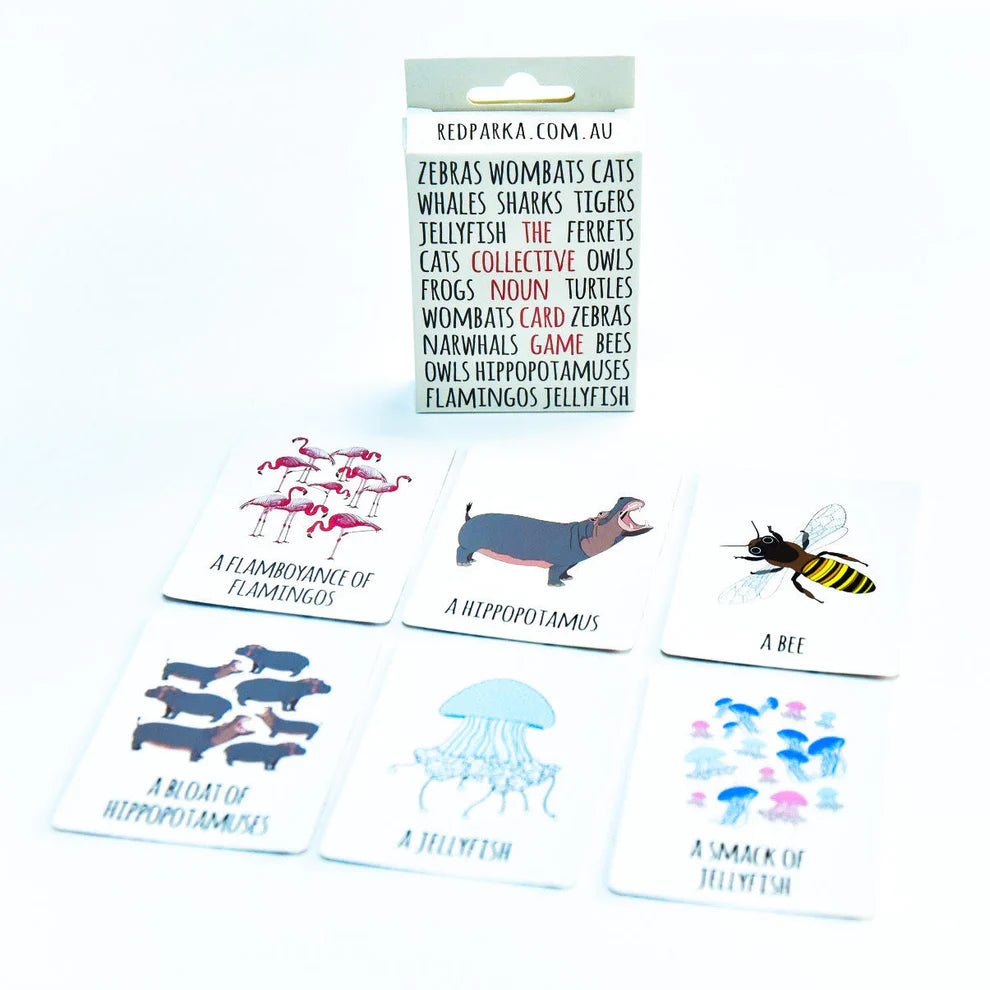 Collective Noun memory card game by Red Parka