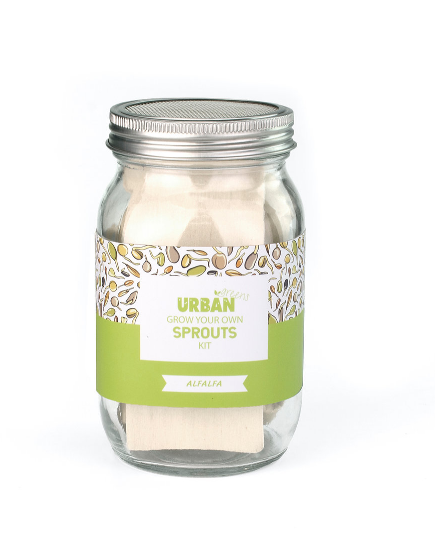 Urban Greens Sprout Jar Kit - Alfalfa
