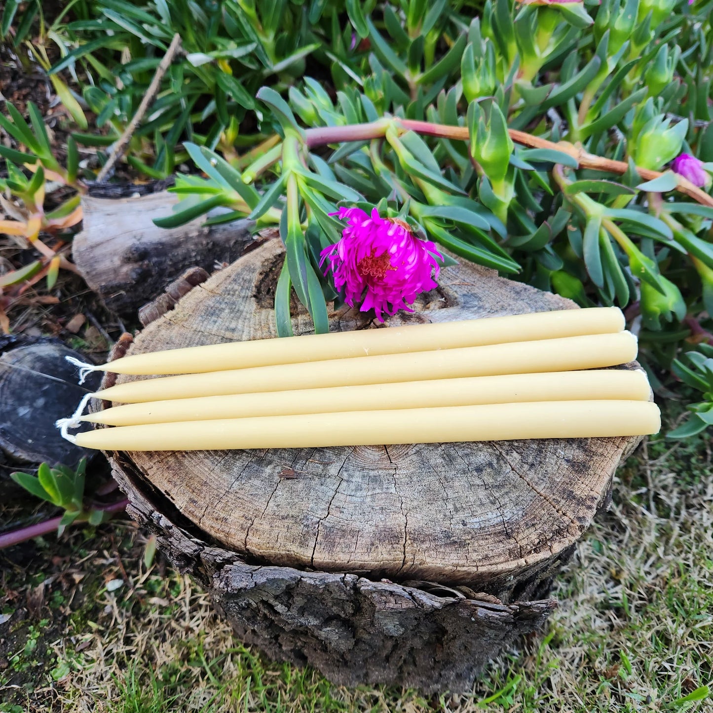 Beeswax 6hr Taper candle - 25cm