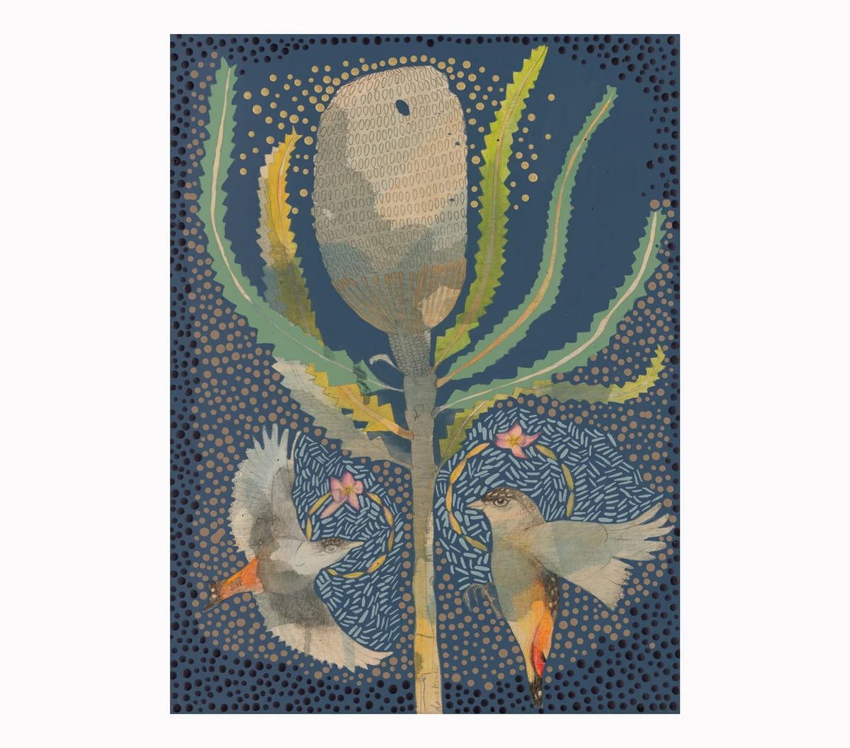 Dana Kinter "Striated Pardalote and Banksia Burdetti" Print