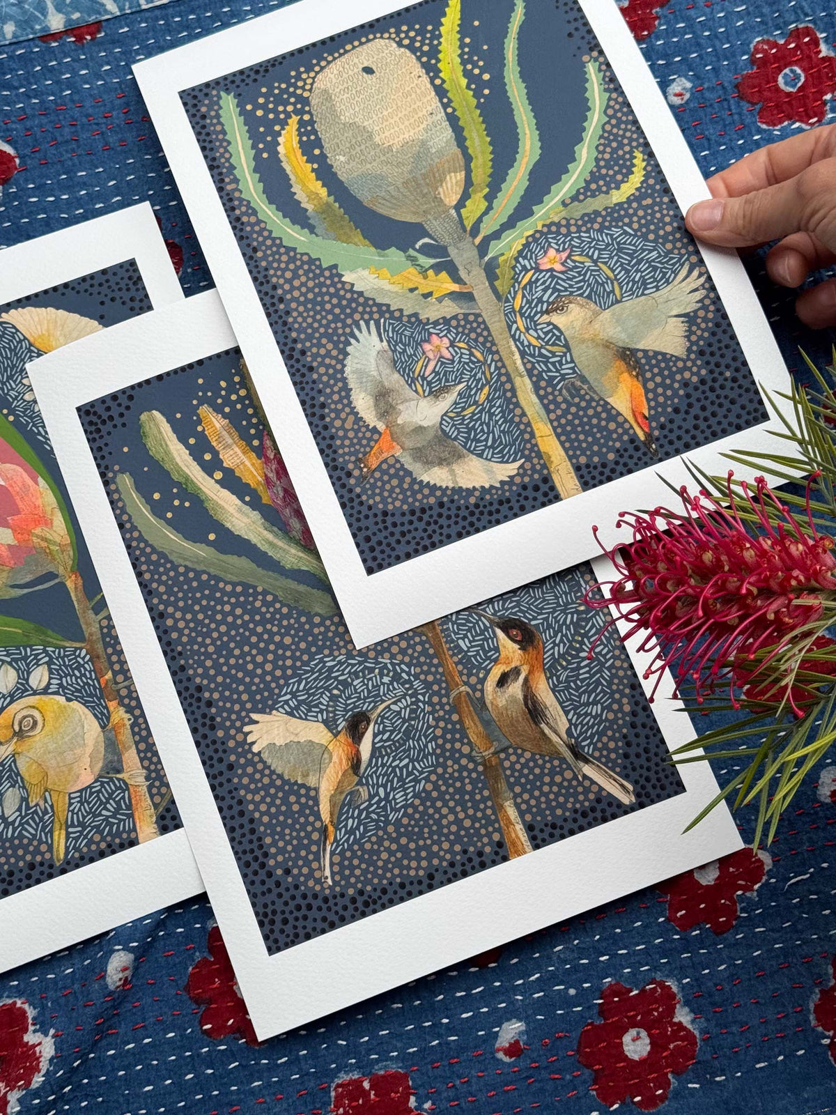 Dana Kinter "Silvereye and Pink Ice Protea" Mini Print