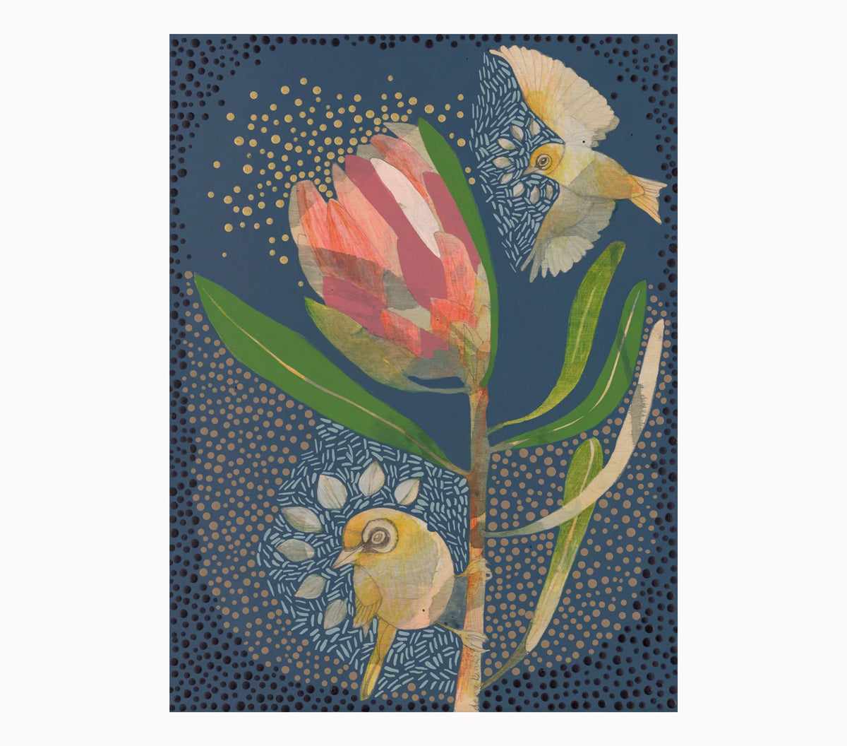 Dana Kinter "Silvereye and Pink Ice Protea" Mini Print