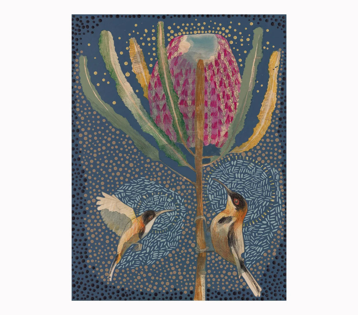 Dana Kinter "Eastern Spinebill and Banksia Menziesii" Print