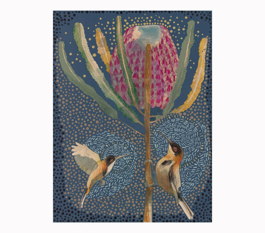 Dana Kinter "Eastern Spinebill and Banksia Menziesii" Print