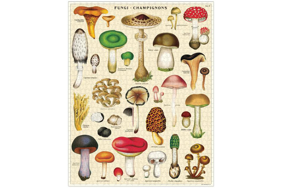 Cavallini & Co Mushrooms 1000 Piece Vintage Puzzle